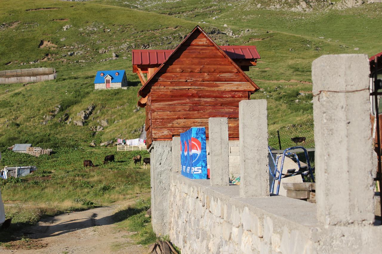Rural Household Minic - Kapetanovo Jezero Hostel Kolašin Buitenkant foto